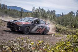 DirtFish2